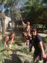 Kings Lions members shown helping to beautify the Lemoore Senior Center on Saturday, June 18.